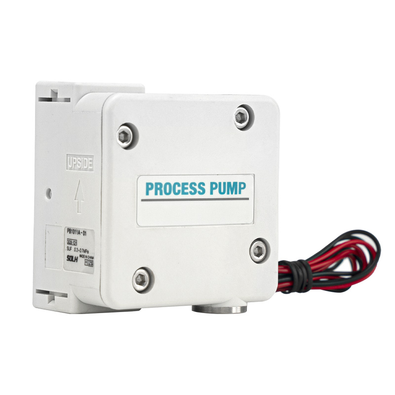 PB1011 prosessipumppu